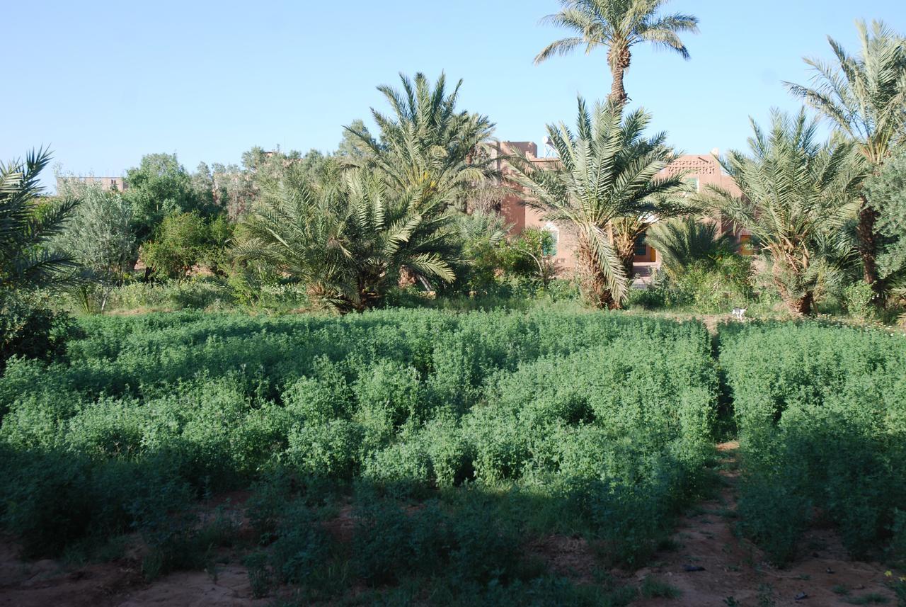 D'Hote Jnane-Dar Diafa Tamgrout Bagian luar foto